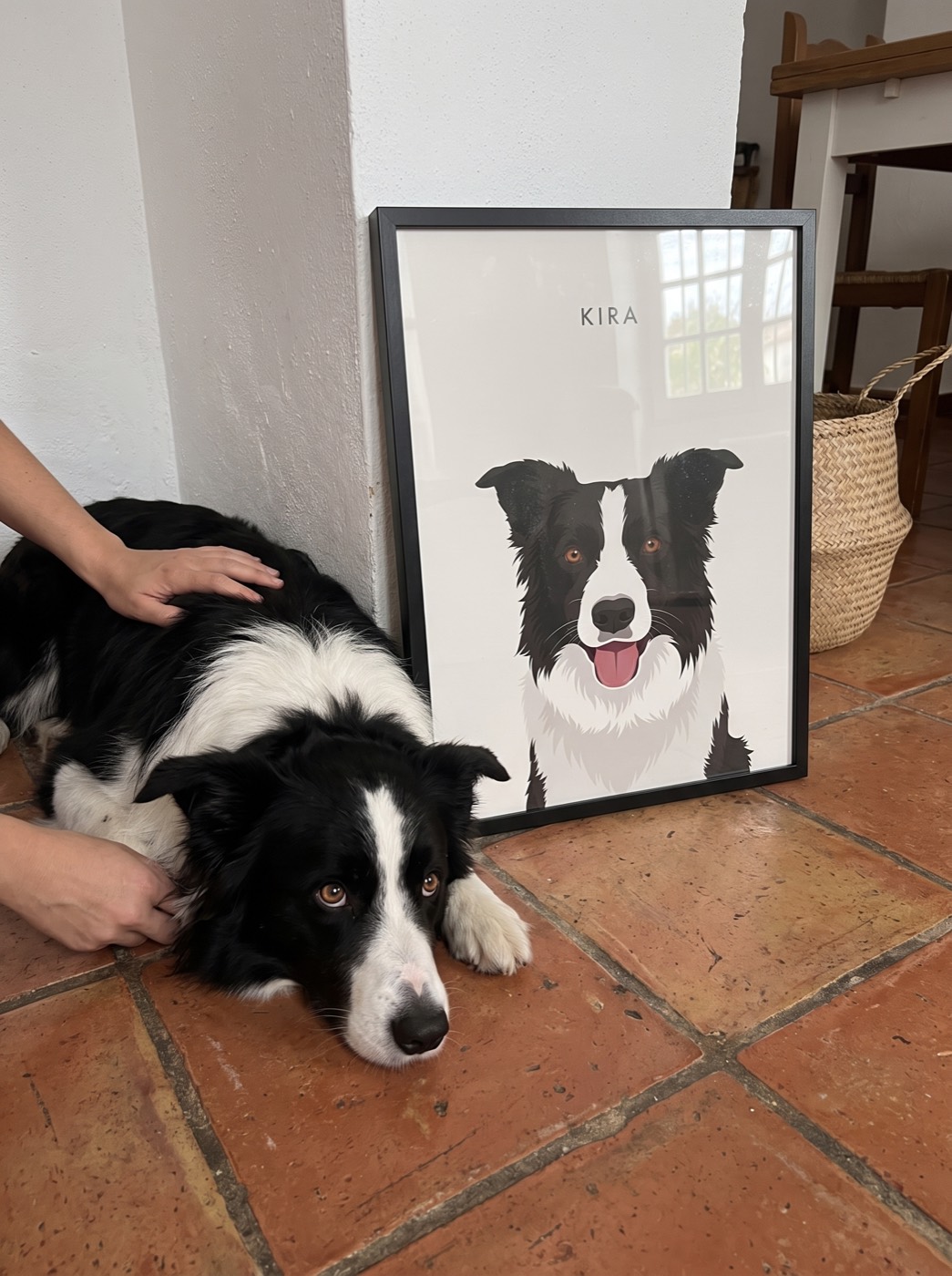 Un border collie tumbado en la cocina junto a su retrato