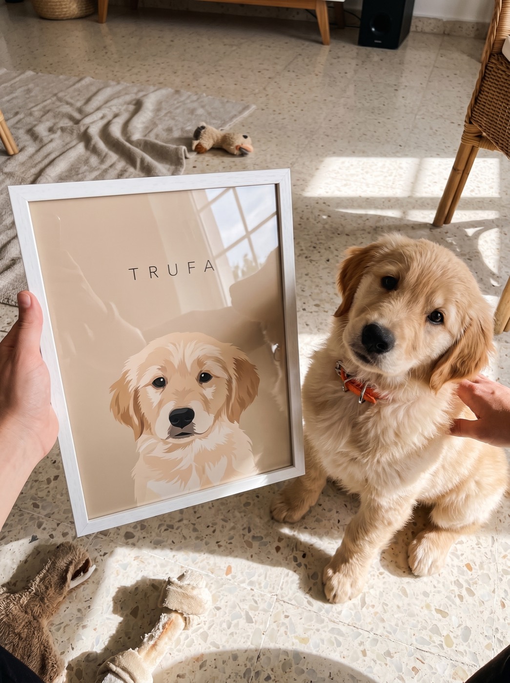 Un cachorro de golden sentado en el suelo junto a su retrato sobre fondo arena